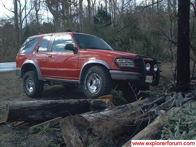 Over a tree