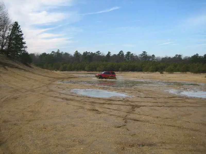 Pine_Barrens_02-03-08_-_20