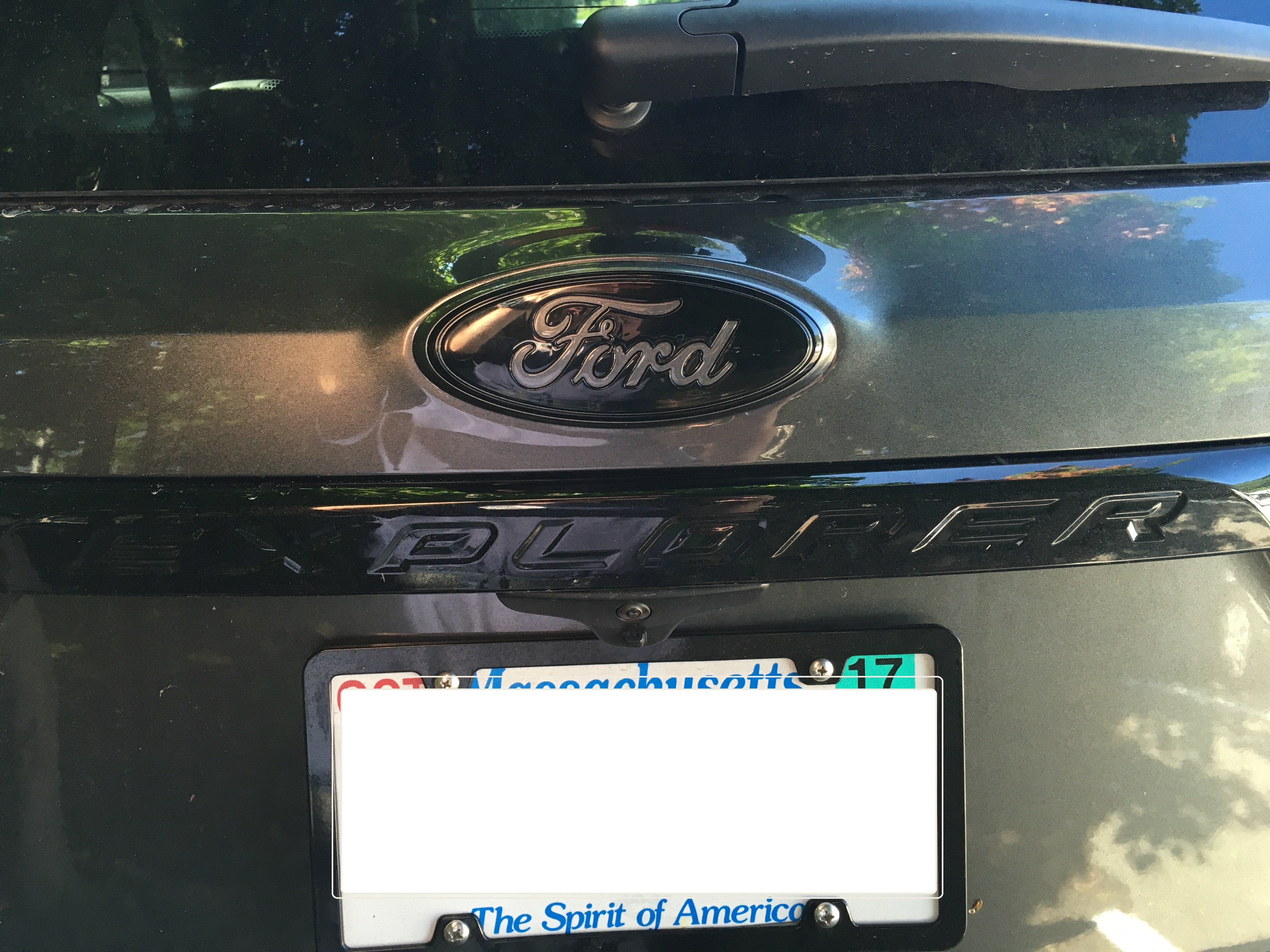 Rear Ford Emblem