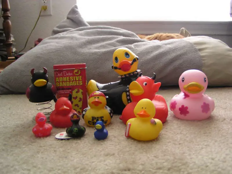 Rubber Duckies