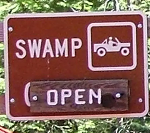 Swamp