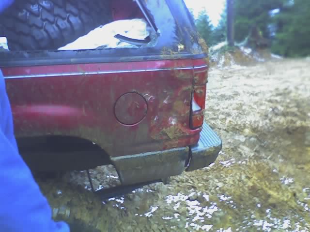Tail Light Damage