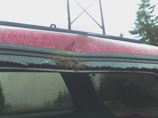 What Blew the Window